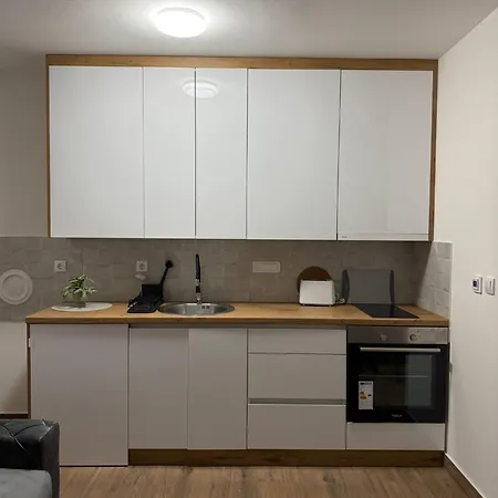 Apartment Biljana Divcibare