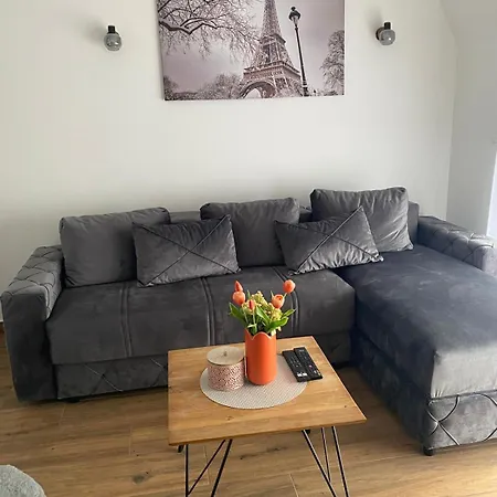 Apartment Biljana Divcibare